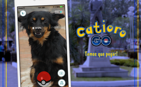 Catioro Go: Nova campanha convida pessoas a "capturar" c&atilde;es abandonados