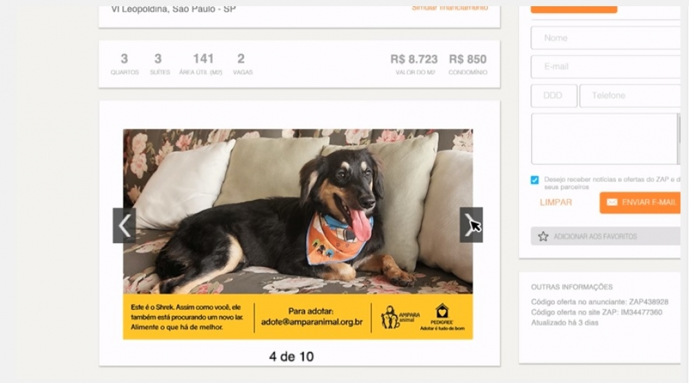 Pedigree em: Adotar &eacute; tudo de bom! 