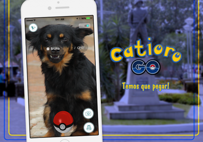 Catioro Go: Nova campanha convida pessoas a "capturar" c&atilde;es abandonados